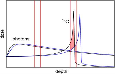 Radioactive Beams in Particle Therapy: Past, Present, and Future
